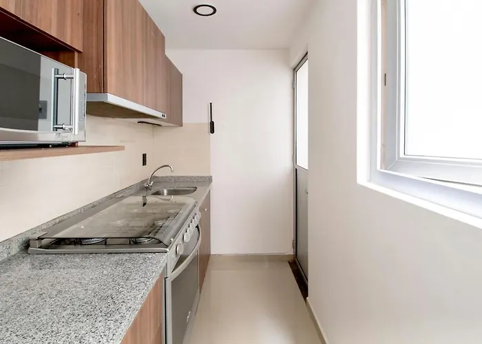 Massive Rooftop Terrace Steps From Everything Apartment Mexico City